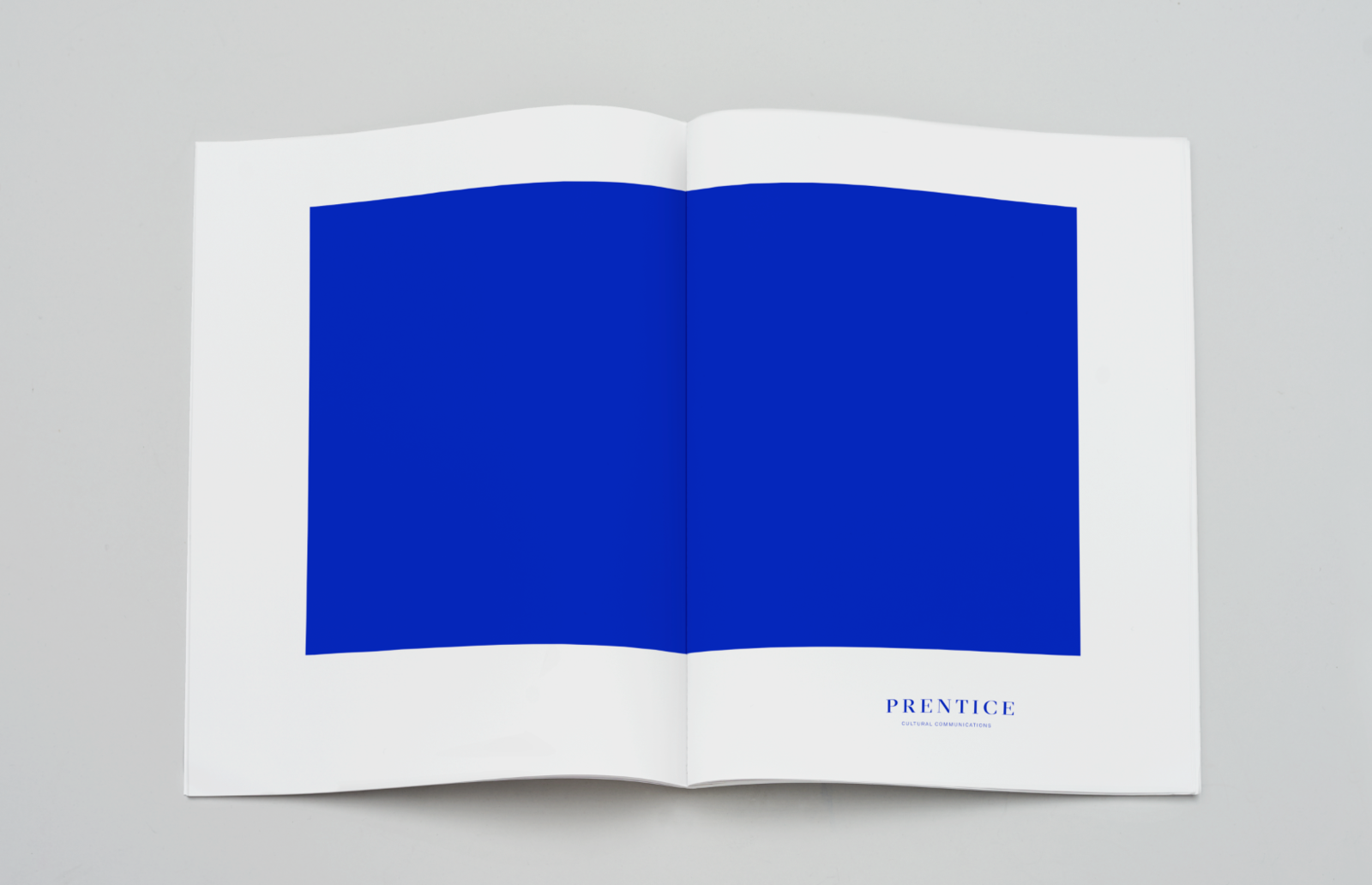 Watson and company prentice collateral brochure spread 1600 113x77x1638x1057 q90