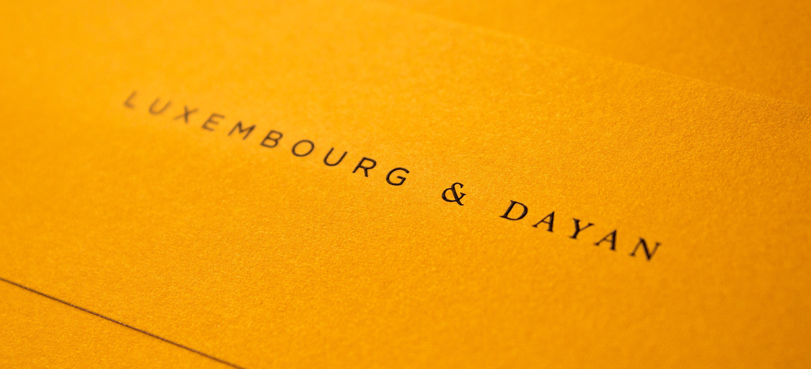 Watson and company luxembourg&dayan logo detail 1600 0x225x1900x865 q90