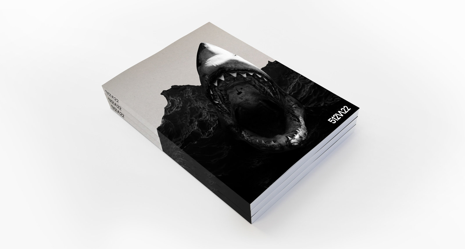 Brochure cover grey bg 1600 0x0x7165x3840 q85