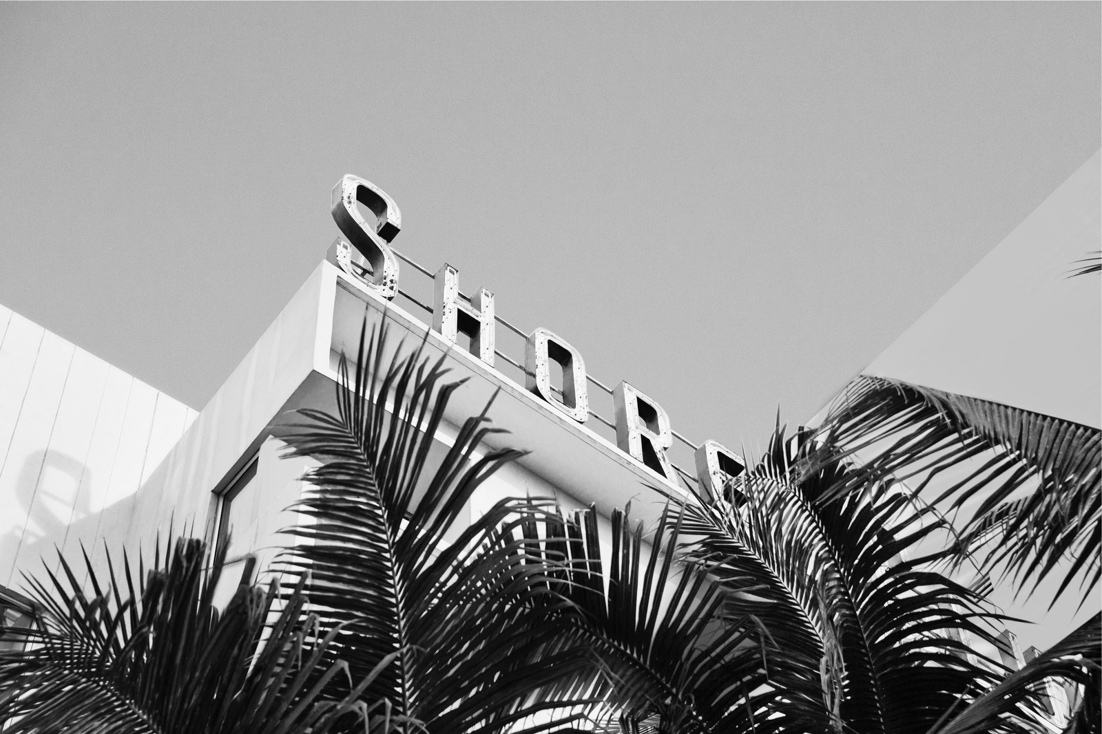 Watson and company fasano shore club signage 1600 0x0x1927x1285 q90